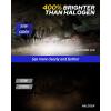 imageAUTOONE H1 LED Light Bulb 400 Super Brighter 11 Halogen Size 6500K White Fog Bulbs Plug and Play Pack of 29005HB39006HB4
